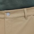 Herren-Trekkingshorts Jack Wolfskin Pico hazel wood 5