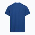 Herren T-Shirt Jack Wolfskin Essential blue orchid 6