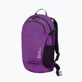 Rucksack Jack Wolfskin Velocity 20 l freesia 4