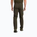 Herren-Trekkinghose Jack Wolfskin Activate Flex obsidian moss 2