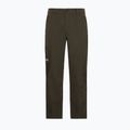 Herren-Trekkinghose Jack Wolfskin Activate Flex obsidian moss 7