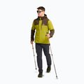 Herren-Trekkinghose Jack Wolfskin Activate Flex phantom 2