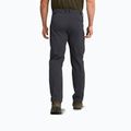 Herren-Trekkinghose Jack Wolfskin Activate Flex phantom 3