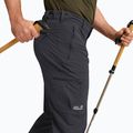 Herren-Trekkinghose Jack Wolfskin Activate Flex phantom 4