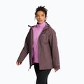 Damen-3‑in‑1‑Jacke Jack Wolfskin Moonrise 2 3IN1 sheer plum 4