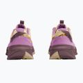 Damen-Wanderschuhe Jack Wolfskin Wild Hike Texapore Low Vanilla Cream 3