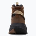 Damen-Wanderschuhe Jack Wolfskin Wild Hike Texapore Mid fawn 6