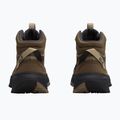 Damen-Wanderschuhe Jack Wolfskin Wild Hike Texapore Mid fawn 3