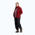 Damen-Wanderschuhe Jack Wolfskin Wild Hike Texapore Mid fawn 7