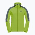 Jack Wolfskin Go Hike Herren Softshelljacke grün 1306921_4073 4