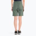 Jack Wolfskin Damen Activate Track Trekkingshorts grün 1503703_4311 4