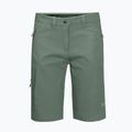 Jack Wolfskin Damen Activate Track Trekkingshorts grün 1503703_4311 7