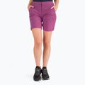 Jack Wolfskin Hilltop Trail Damen-Trekking-Shorts lila 1505461_2094