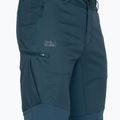 Jack Wolfskin Herren Activate Tour Softshell-Hose blau 1507451_1383 3