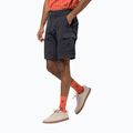 Jack Wolfskin Herren-Trekking-Shorts Canyon Cargo grau 1504201_6168
