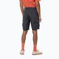 Jack Wolfskin Herren-Trekking-Shorts Canyon Cargo grau 1504201_6168 2