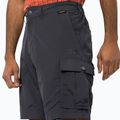 Jack Wolfskin Herren-Trekking-Shorts Canyon Cargo grau 1504201_6168 3