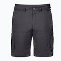 Jack Wolfskin Herren-Trekking-Shorts Canyon Cargo grau 1504201_6168 5