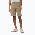 Jack Wolfskin Desert Valley Herren-Trekking-Shorts braun 1504741_5605