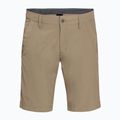 Jack Wolfskin Desert Valley Herren-Trekking-Shorts braun 1504741_5605 4