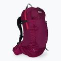 Jack Wolfskin Crosstrail ST 22 l Wanderrucksack kastanienbraun 2009562_2222