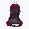 Jack Wolfskin Crosstrail ST 22 l Wanderrucksack kastanienbraun 2009562_2222 3