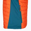Jack Wolfskin Herren Routeburn Pro Ins Wandern ärmellos orange 1206871_3017_002 9