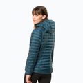 Jack Wolfskin Damen Daunenjacke Passamani Down Hoody blau 1207101_4133 2