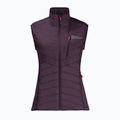 Jack Wolfskin Routeburn Pro Ins Damen Wandern ärmellos lila 1207201_2042_005 5