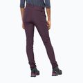 Jack Wolfskin Damen Softshellhose Geigelstein Slim burgundy 1507741 2