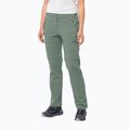 Damen Softshellhose Jack Wolfskin Glastal Zip Off grün 1508151_4151_042