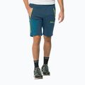 Herren Softshell-HoseJack Wolfskin Glastal Zip Away navy blau 1508301 3