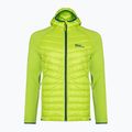 Jack Wolfskin Herren Routeburn Pro Hybrid Jacke grün 1710511 5