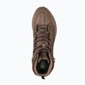 Herren-Trekking-Schuhe Jack Wolfskin Terraquest Texapore Mid Bear 12
