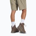 Herren-Trekking-Schuhe Jack Wolfskin Terraquest Texapore Mid Bear 16
