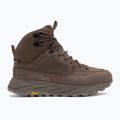 Herren-Trekking-Schuhe Jack Wolfskin Terraquest Texapore Mid Bear 2