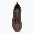 Trekkingschuhe Herren Jack Wolfskin Terraquest Texapore Low gecko bear 5