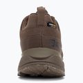 Trekkingschuhe Herren Jack Wolfskin Terraquest Texapore Low gecko bear 6