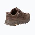 Herren-Trekking-Schuhe Jack Wolfskin Terraquest Texapore Low gecko bear 2