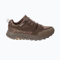 Herren-Trekking-Schuhe Jack Wolfskin Terraquest Texapore Low gecko bear 3