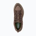 Herren-Trekking-Schuhe Jack Wolfskin Terraquest Texapore Low gecko bear 5