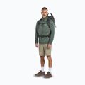 Herren-Trekking-Schuhe Jack Wolfskin Terraquest Texapore Low gecko bear 8