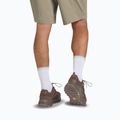 Herren-Trekking-Schuhe Jack Wolfskin Terraquest Texapore Low gecko bear 9