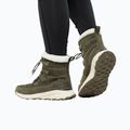 Jack Wolfskin Damen-Trekkingstiefel Dromoventure Texapore High island moss 2