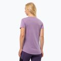 Jack Wolfskin Damen-Trekking-T-Shirt Vonnan S/S Grafik Samt 2
