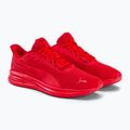 Herren Laufschuhe PUMA Transport Modern rot 377030 05 4