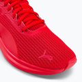 Herren Laufschuhe PUMA Transport Modern rot 377030 05 8