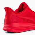 Herren Laufschuhe PUMA Transport Modern rot 377030 05 9
