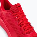 Herren Laufschuhe PUMA Transport Modern rot 377030 05 10