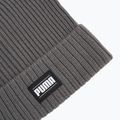Wintermütze PUMA Ribbed Classic Cuff smoked pearl 3